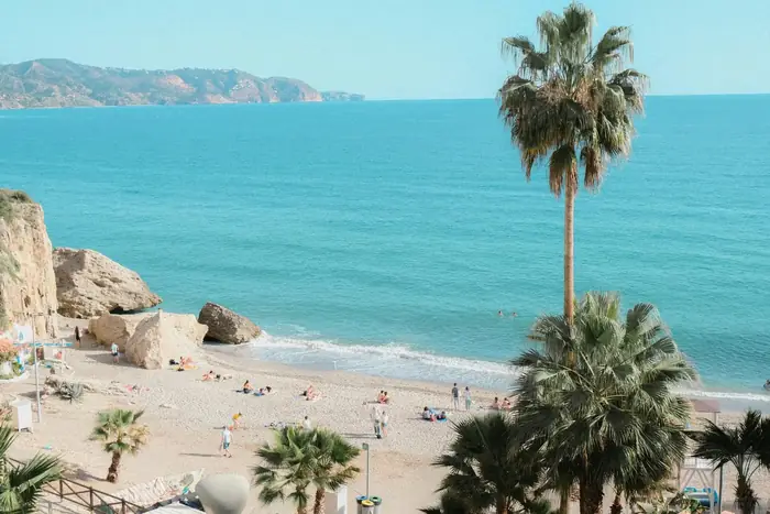 Beach with palm trees on the Costa del Sol